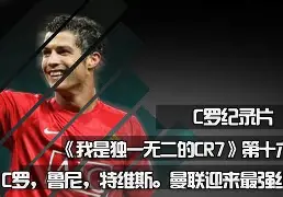 2020斯蒂夫布鲁斯纽卡斯尔联战术分析